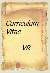 curriculum vitae vincenzo ricci